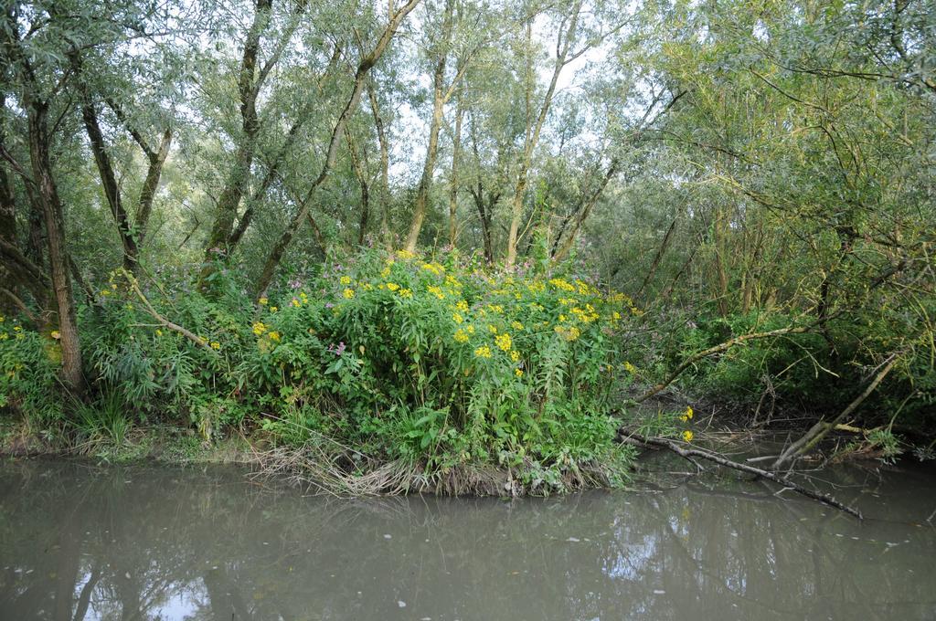 De Brabantse Biesbosch 호텔 Werkendam 외부 사진