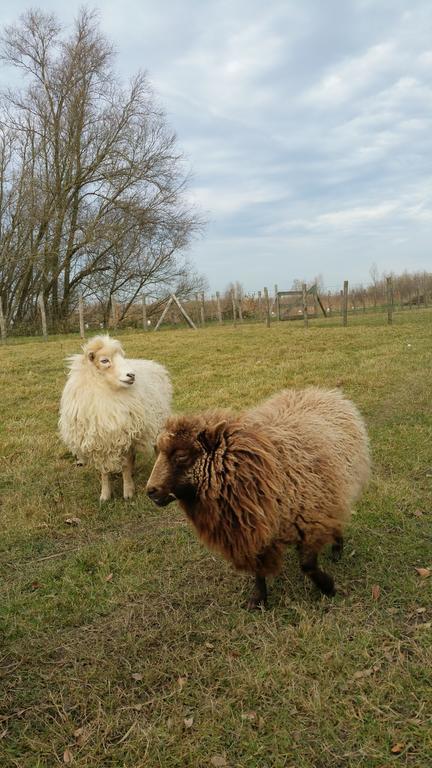 De Brabantse Biesbosch 호텔 Werkendam 외부 사진