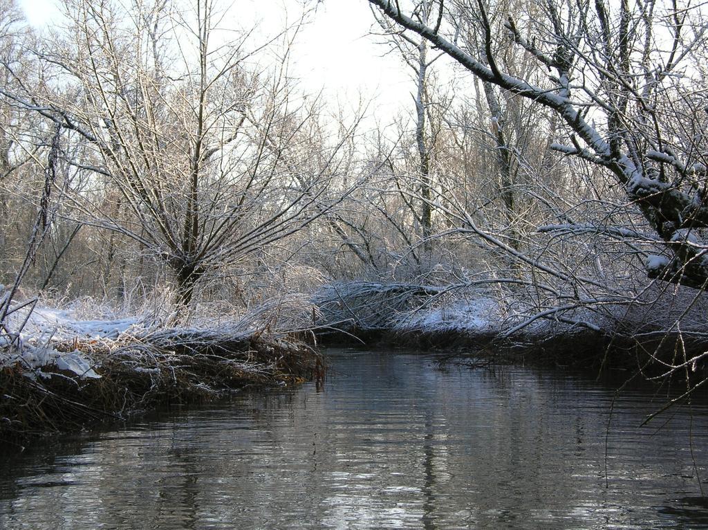 De Brabantse Biesbosch 호텔 Werkendam 외부 사진