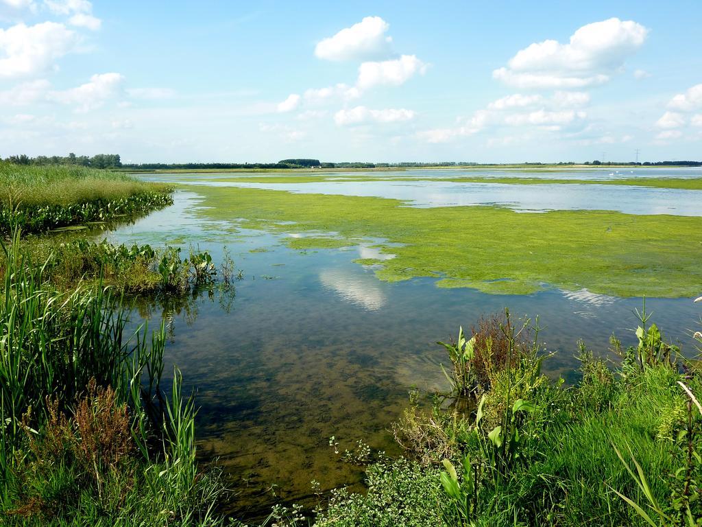 De Brabantse Biesbosch 호텔 Werkendam 외부 사진