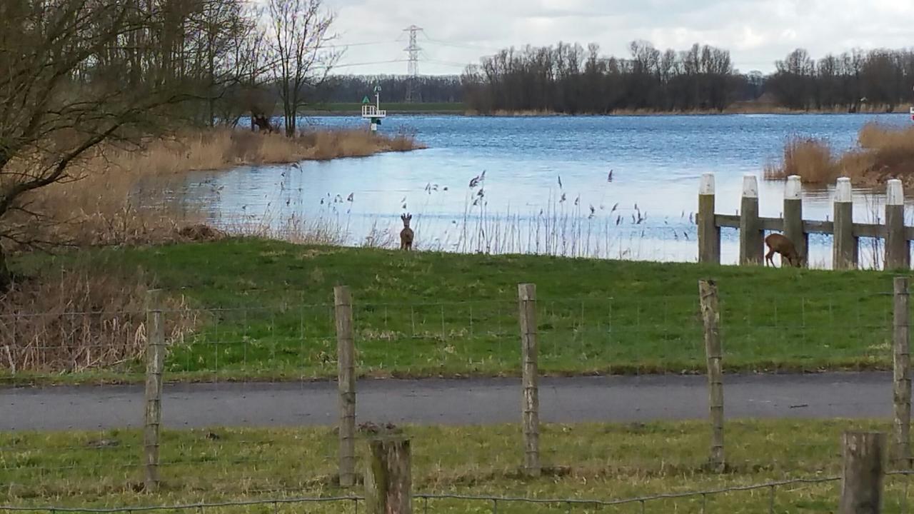 De Brabantse Biesbosch 호텔 Werkendam 외부 사진
