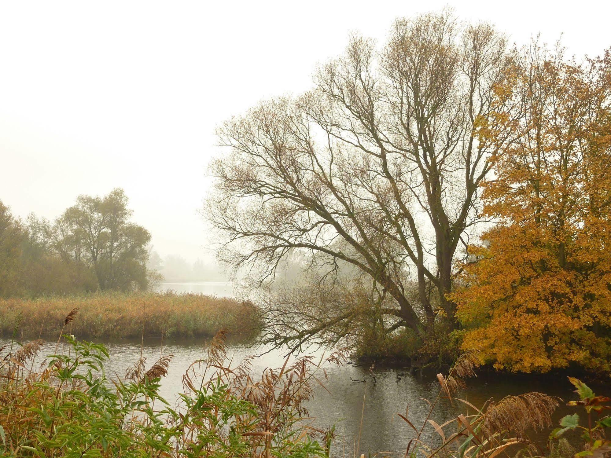 De Brabantse Biesbosch 호텔 Werkendam 외부 사진