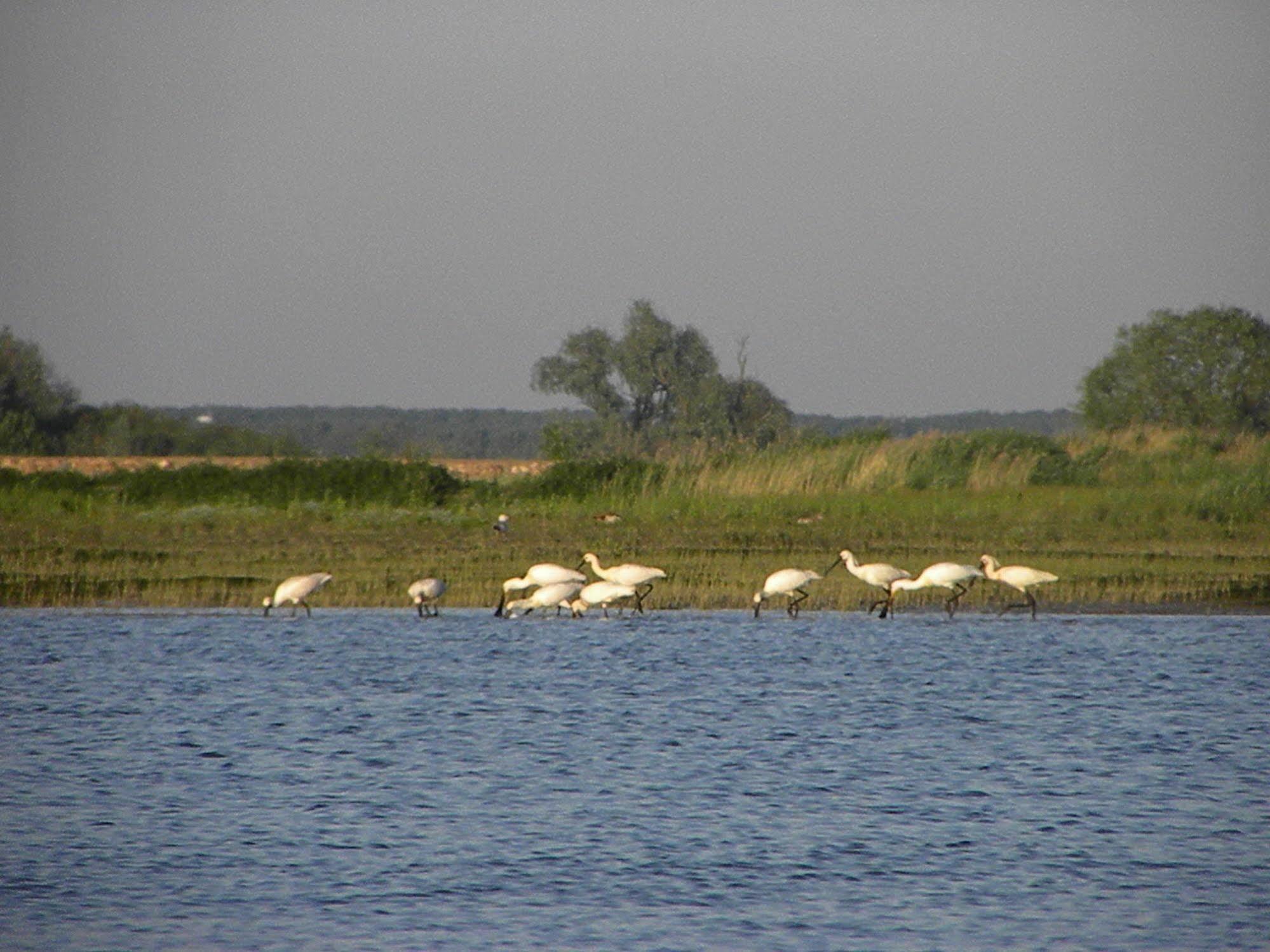 De Brabantse Biesbosch 호텔 Werkendam 외부 사진