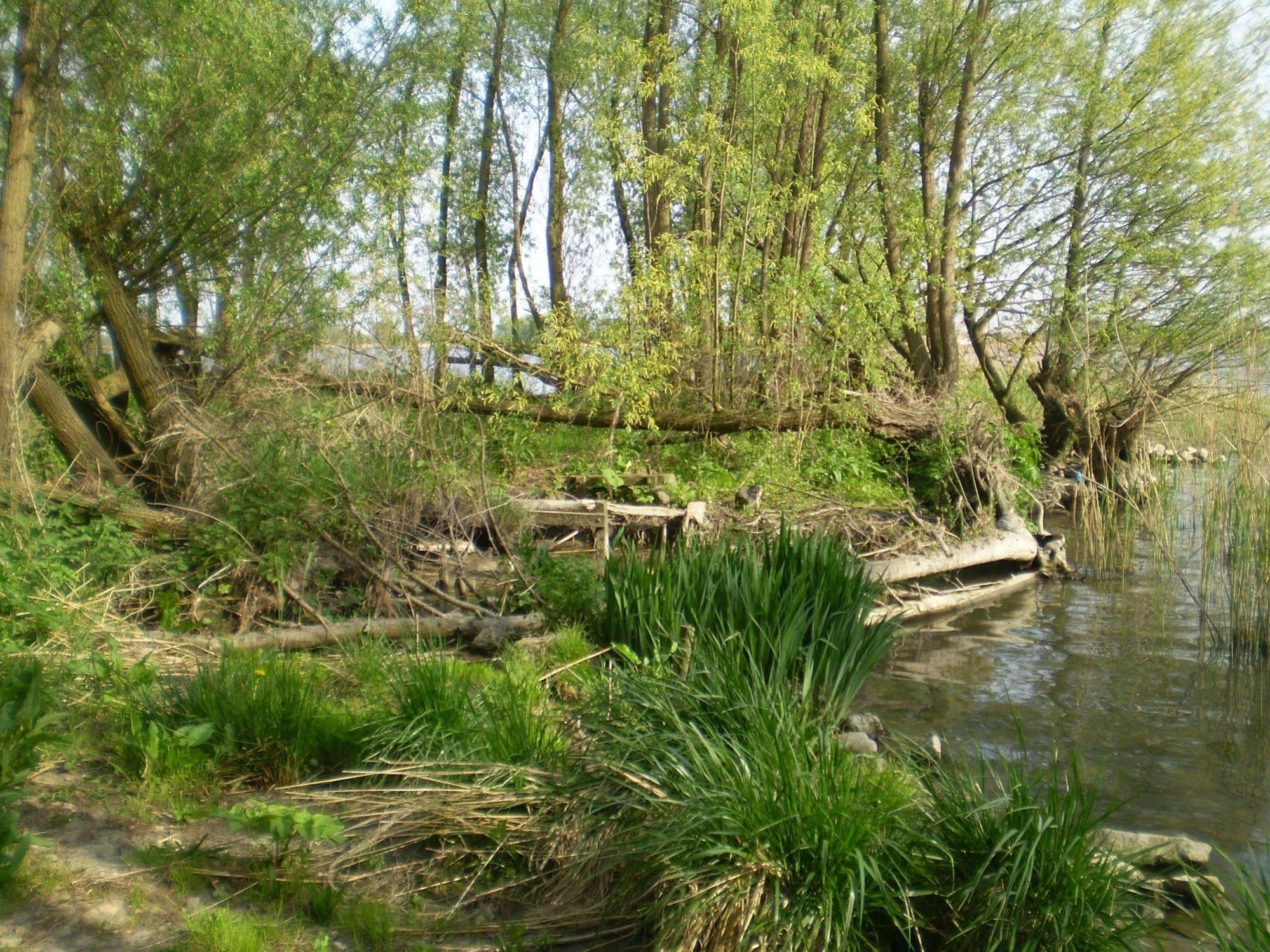 De Brabantse Biesbosch 호텔 Werkendam 외부 사진
